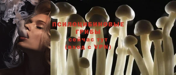 стафф Верея