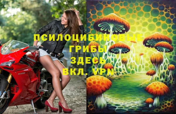 трава Верхний Тагил