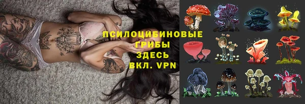 стафф Верея